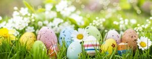 April Family Newsletter